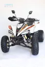 LINEA BASHAN 250AS-43 T3b