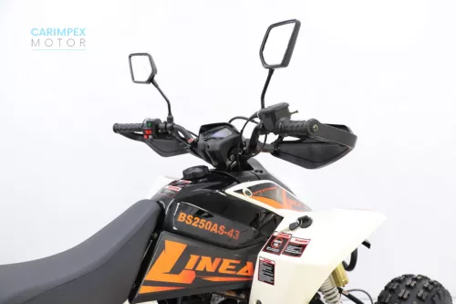 LINEA BASHAN 250AS-43 T3b