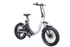 Ztech ZT-89-F Fat Bike 