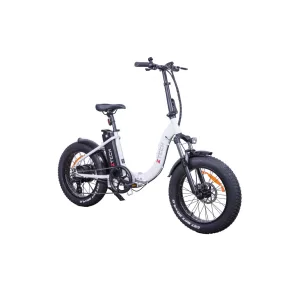 Ztech ZT-89-F Fat Bike 