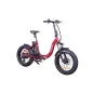 Ztech ZT-89-F Fat Bike 