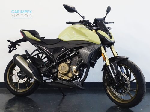 Morbidelli N300