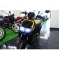 Motron Whizz
