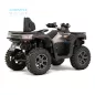 GOES TERROX 1000 T3B 26