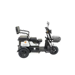 e-moped