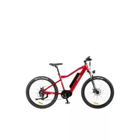 e-bike
