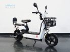 Polymobil E-MOB36