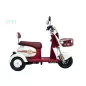 Polymobil E-MOB41