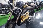 VMOTO TC Wanderer