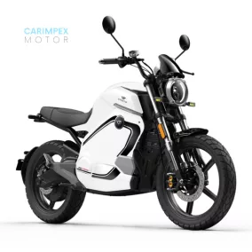 VMOTO TC Wanderer PRO